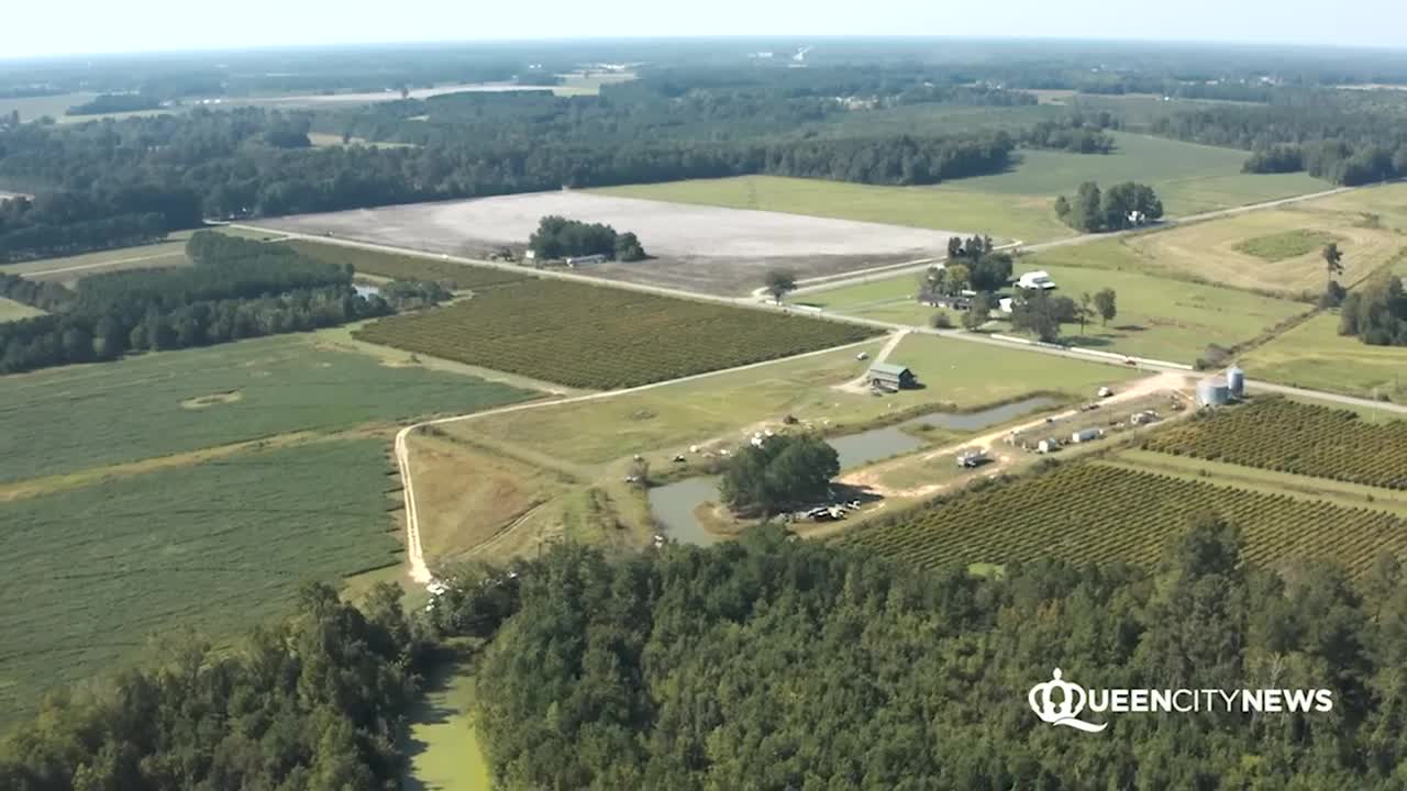 SC farmer sues state's top cops, prosecutors after 2019 hemp farm raid.