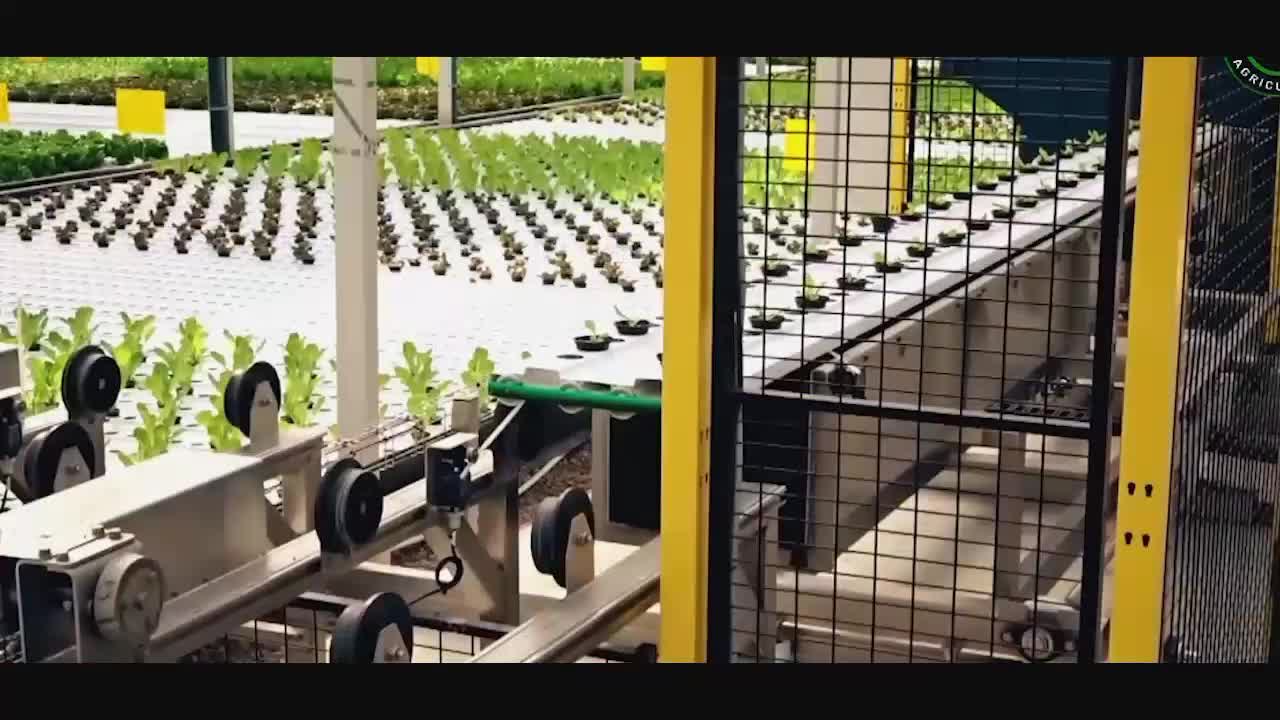 Hydroponic Training | Muktodhara Technology Ltd.