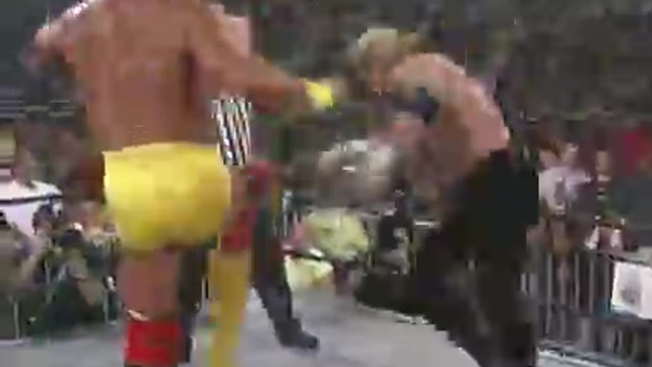 JERSEY TRIAD VS GOLDBERG / HULK HOGAN