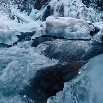 The beauty of nature