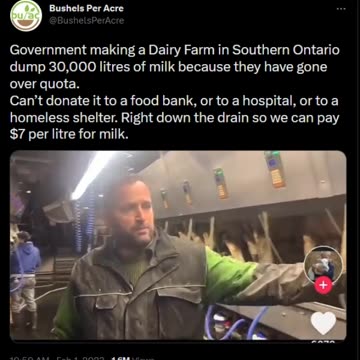 Dairy Farm in Southern Ontario dump 30,000 litres of milk because they have gone over quota.