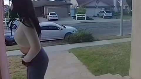 DOG STOPS PORCH PIRATE!!!