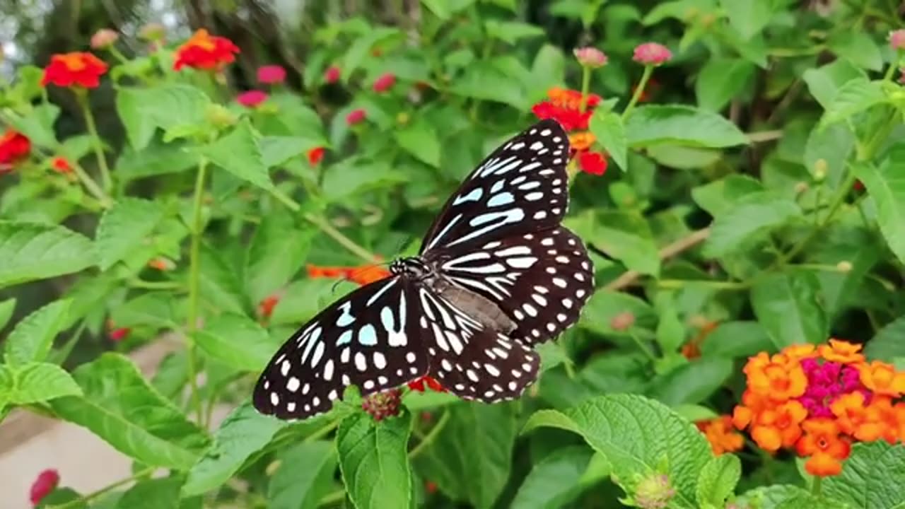 Enjoy the nature