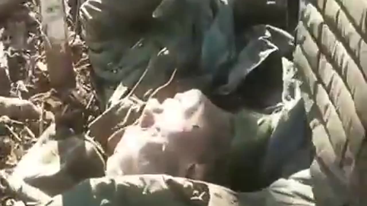 Searching Abandoned Russian Trenches