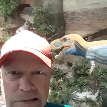 All these creatures went on the ark of Noah and he cared for and fed them.