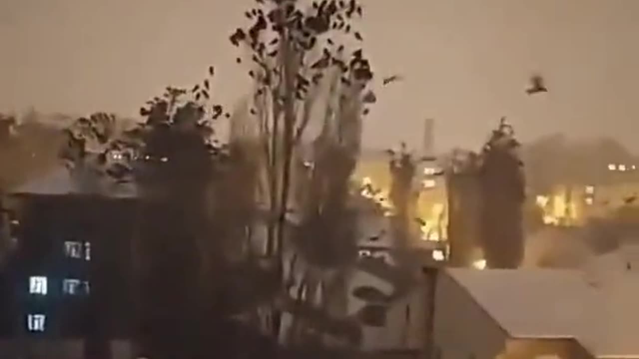 🇹🇷Birds acting weird just before the earthquake in Turkey . Just watch the animals. They know.