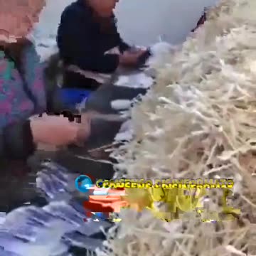 Andate a farvi i tamponi 😂