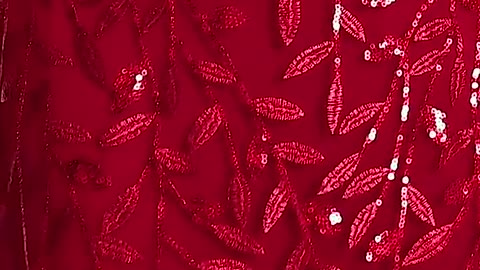 Women formal party long wine red dress