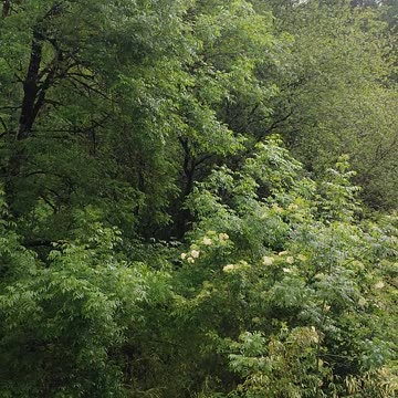 Naturaleza, paisajes