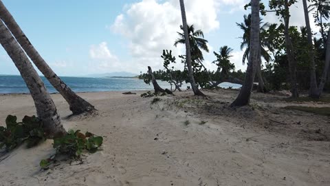 Las Terrenas, Samana, Dominican Republic, November 17, 2022