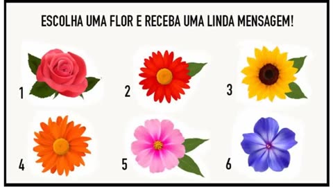 Escolha uma flor e receba uma mensagem de encorajamento para sua vida!