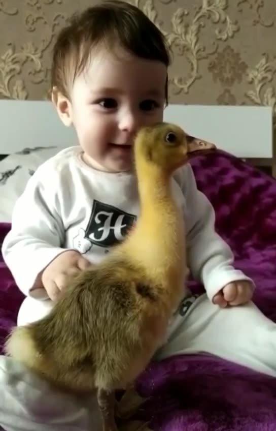 ❤️ Buongiorno Buona domenica a tutti ❤️