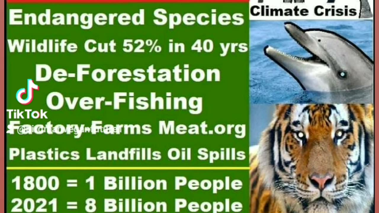 Why CHILDFREE 🌎 WILDLIFE Threatened Elephants Dolphins Gorilla UnSustainable