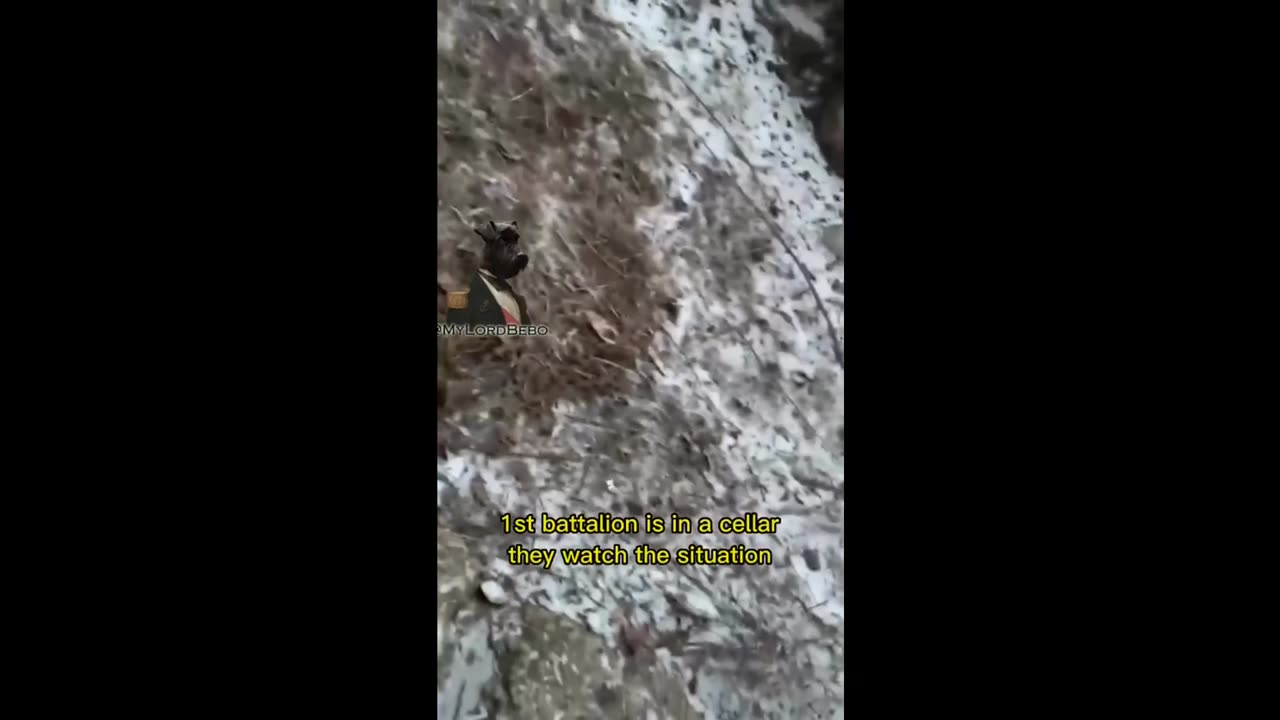 How is the mood in Ukraine?