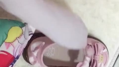 Little girl: Size 34 trouble It's 2020