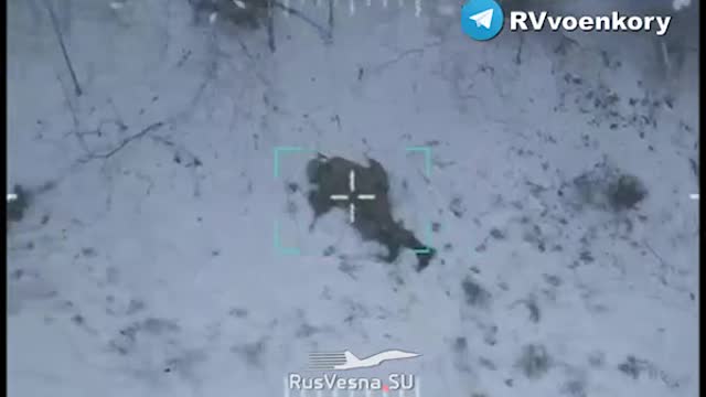 Video of a Russian Armed Forces soldier shooting down a Ukrainian drone with his bare hands.