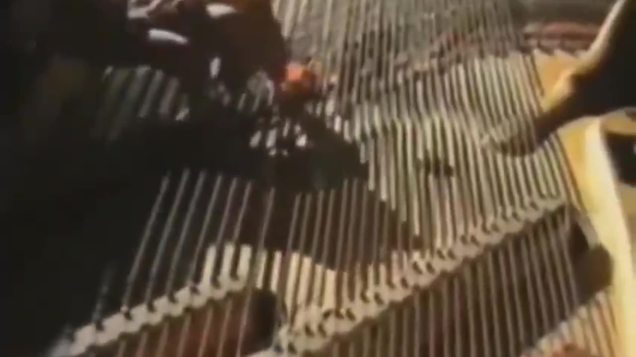Stomp technology