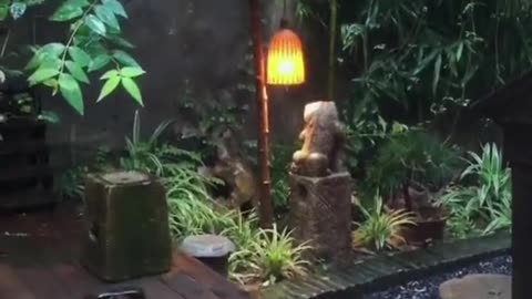 🔴 Relaxing Music 24/7, Sleep Music, Stress Relief Music, Spa, Meditation, Yoga, Zen, Sleeping Music