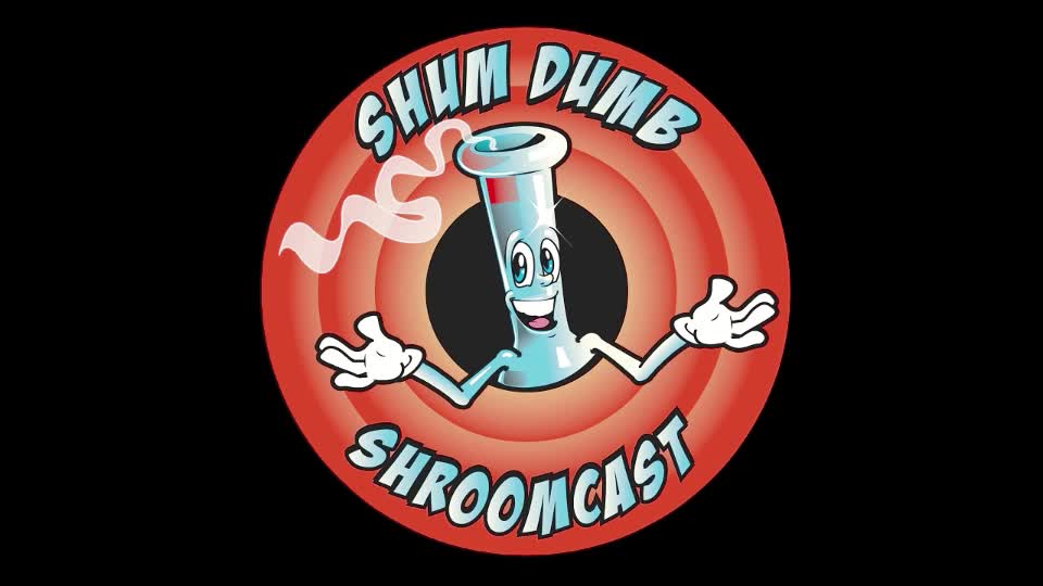 AIDS - The Story of Friendship - ShumDumb Clips