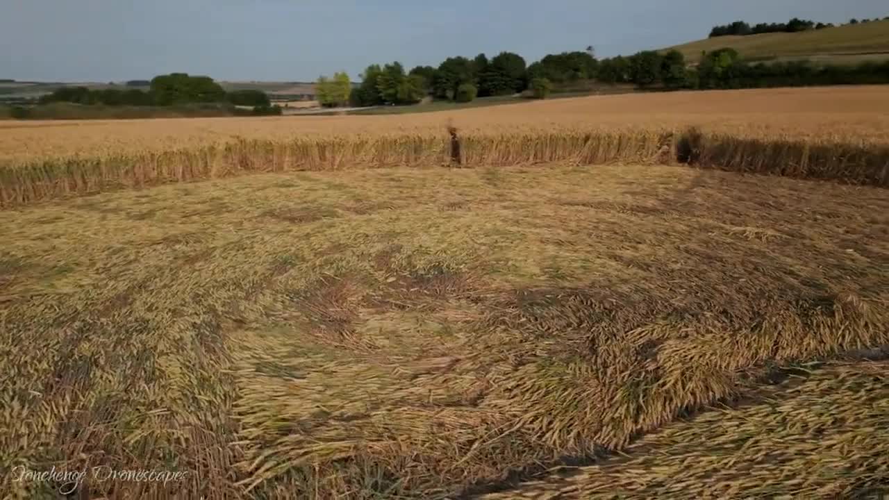 Crop circle close up not made by humans