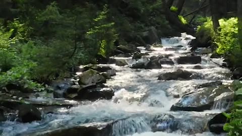 🔴 Relaxing Music 24/7, Sleep Music, Stress Relief Music, Spa, Meditation, Yoga, Zen, Sleeping Music