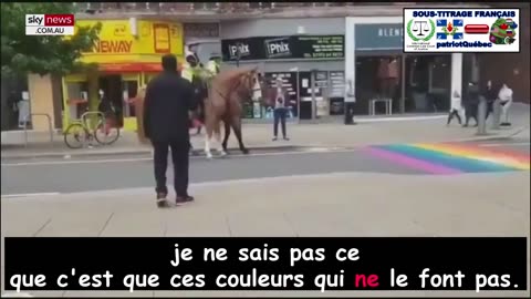 Les chevaux sont rendu transphobe ont peur des traversées arc-en-ciel LGBTQ(S.T.F)