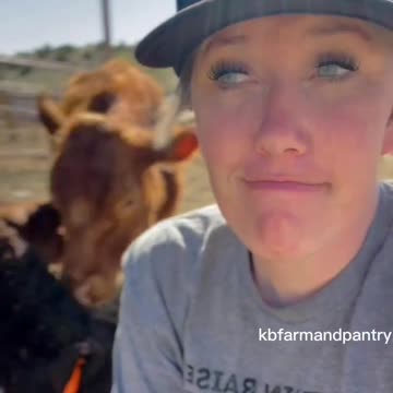 What’s Coming Due To The New Mandated EID Tag On Cattle