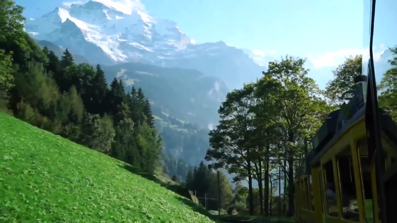 [4K UHD] Colors Of Nature