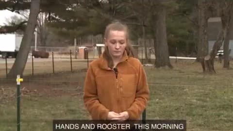 Ohio derailment: A woman 10 miles from East Palestine, Ohio found all her chickens dead