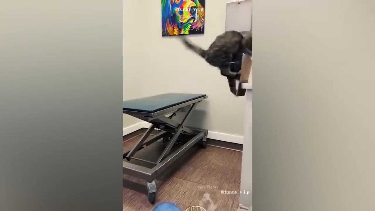 This will 99% make you laugh