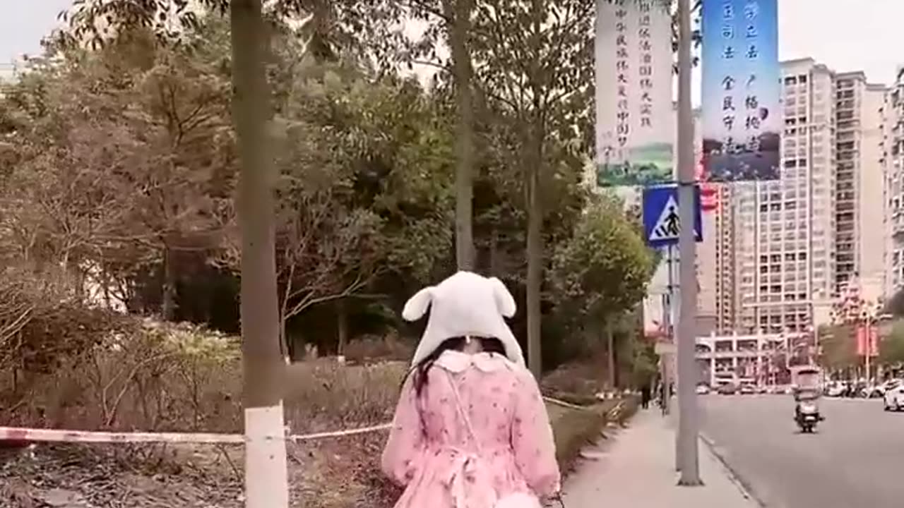 Little girl: The daily life of walking the dog