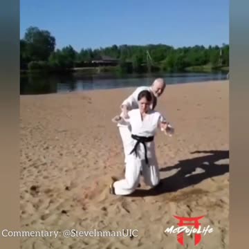 The Art Of Bullshido