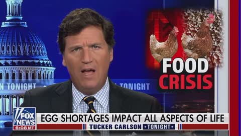 What’s really going on with America’s eggs? Tucker Carlson crack in the case.