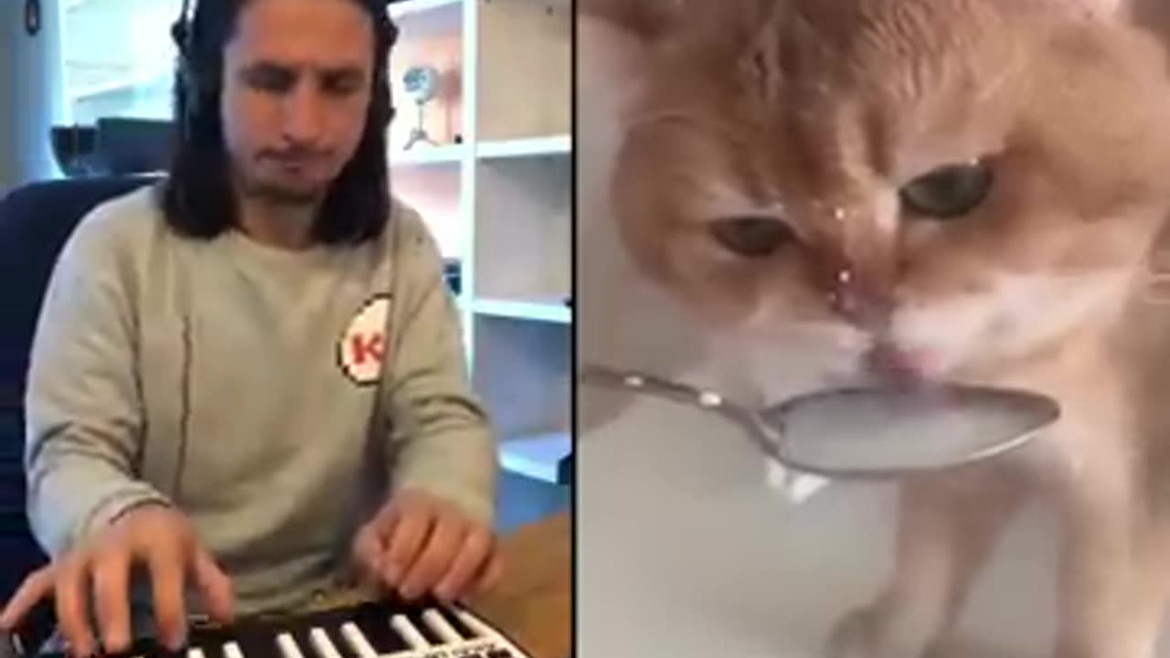 The Kiffness X NumNum Cat (Live Looping Balkan Remix)