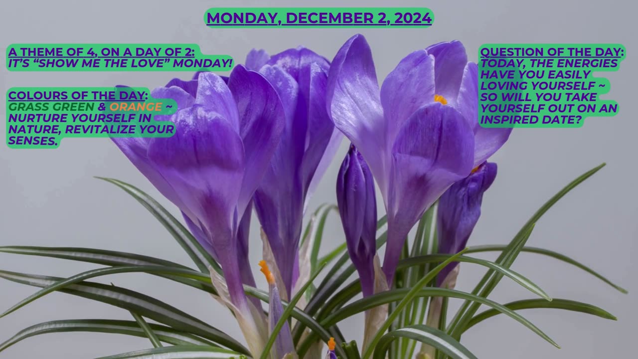 Show Me the Love! ~ Numerology Energies for Monday, Dec. 2, 2024