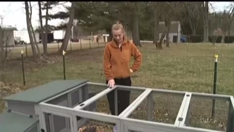 Woman finds all her chickens dead 10 miles from East Palestine, Ohio.