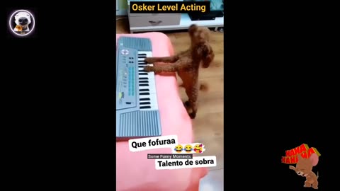 Funniest Cats 🐱 and Dogs 🐶 Videos - Best Funny Animals Videos 2023 😂