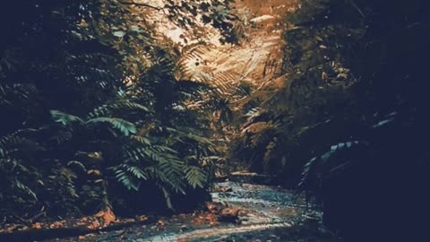 🔴 Relaxing Music 24/7, Sleep Music, Stress Relief Music, Spa, Meditation, Yoga, Zen, Sleeping Music