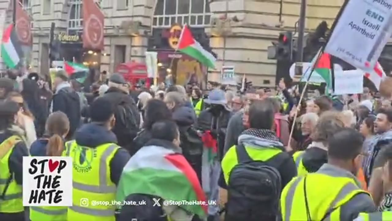 Protester appears to perform 'nazi salute' in pro-Palsetine march