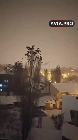 Birds Act Strange Before Turkey Earthquake