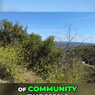 The Evolution of American Christianity: Signaling Goodness and Creating Community