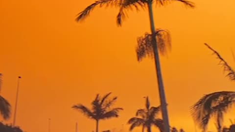 City on fire