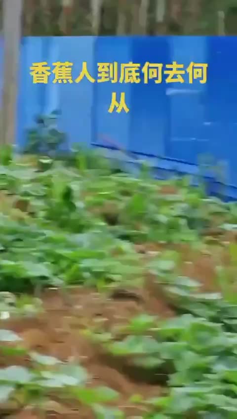 87,000 police officers have been hired by the government to deal with farmers.