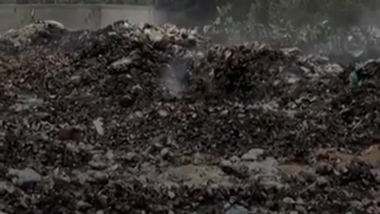 أطنان_من_النفايات_المكدسة_في_شوارع_غزة_تنذر_بكوارث_صحية_وبيئية