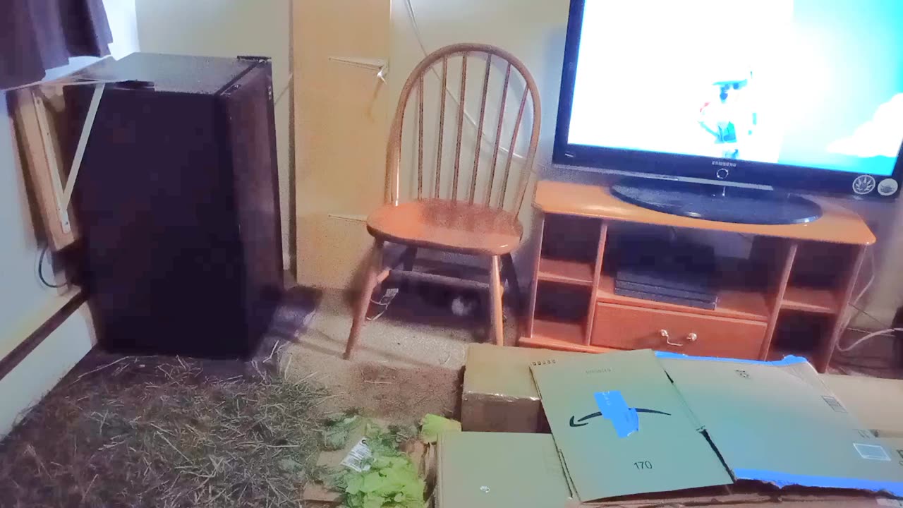 NAPPING UNDER A CHAIR