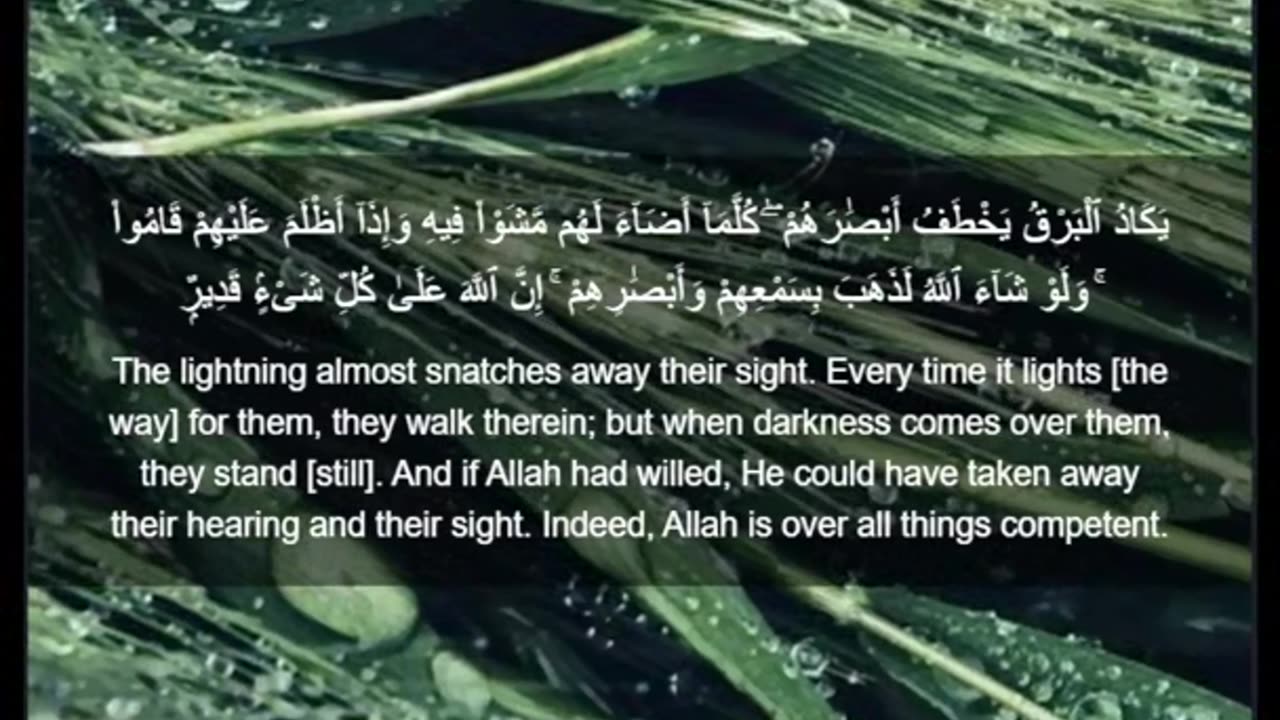 Beautiful recitation of the Holy Quran||تلاوة جميلة للقرآن الكريم