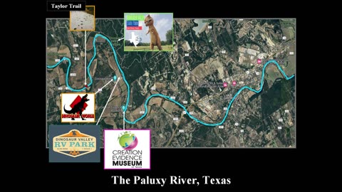 The Taylor Trail (Dinosaur & Man Tracks Part#13)