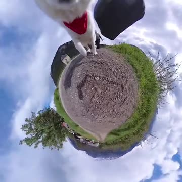 What was that all about 😂😂