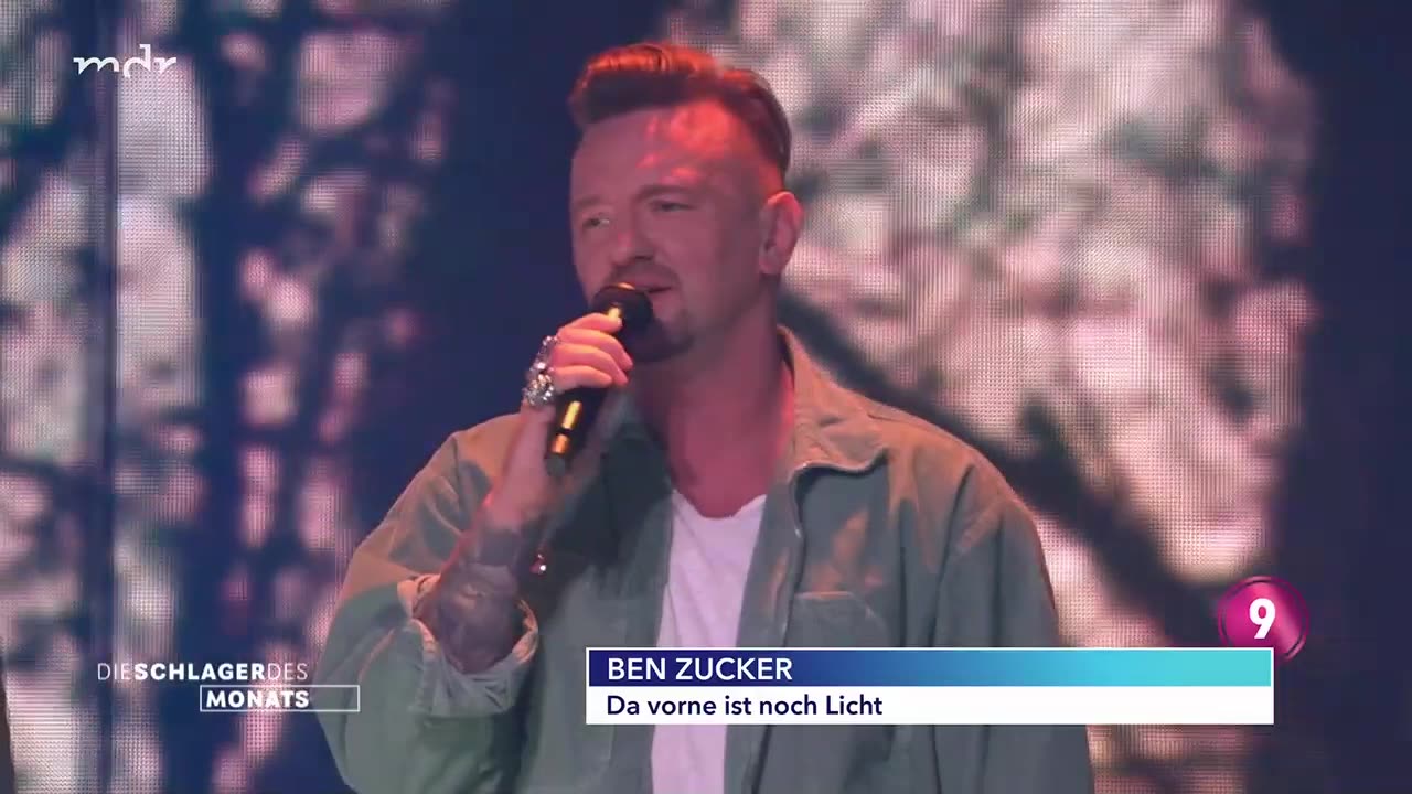 Die Schlager Des Monats 29-11-2024