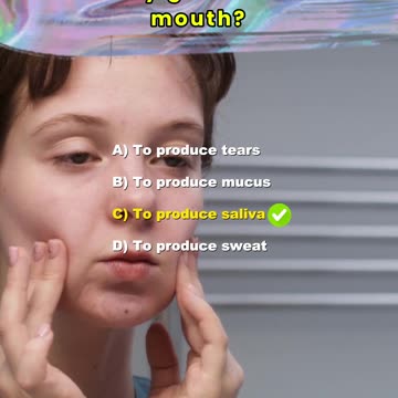 The mouth: Questions and Answers